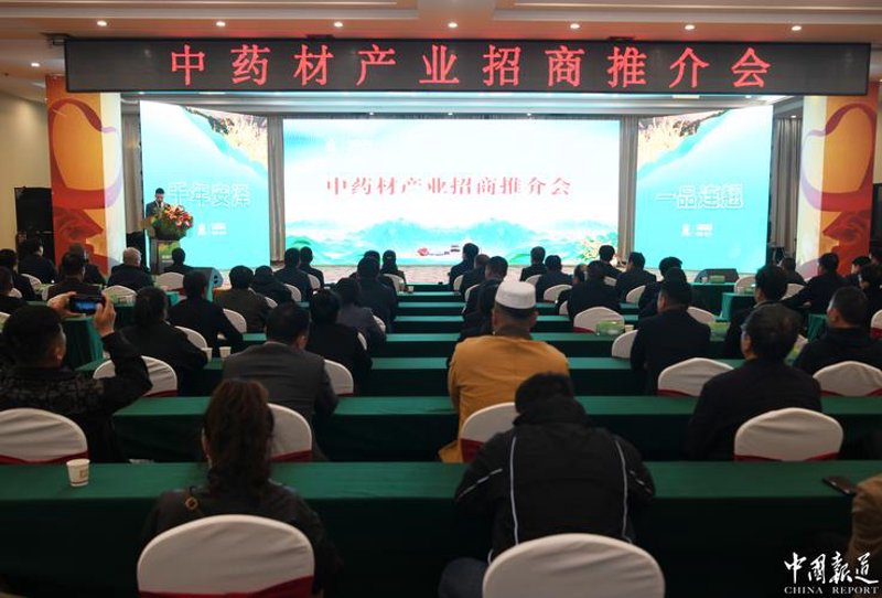 医药招商：打开市场新大门